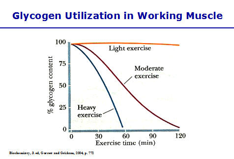 Carbohydrates discount after workout