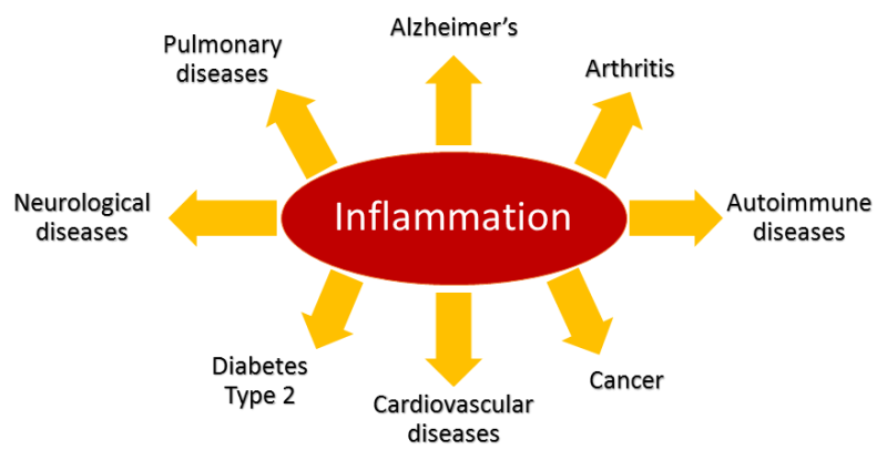 Inflammation-disease-gut