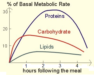 eat-more-meat-burn-more-fat-period-coachmikeblogs.com-mike-sheridan