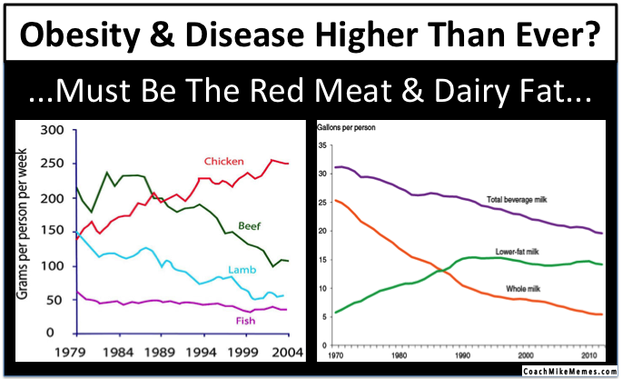 obesity-disease-red-meat-dairy-fat-coachmikememes