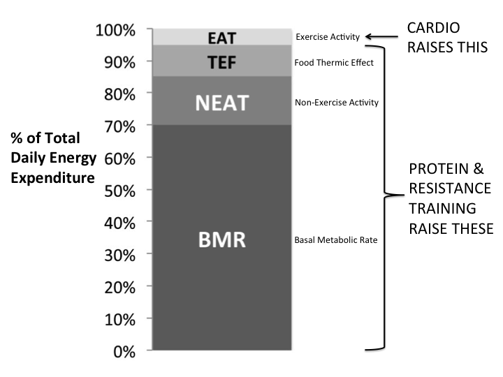 how to lose fat fast - burn fat - reduce belly fat