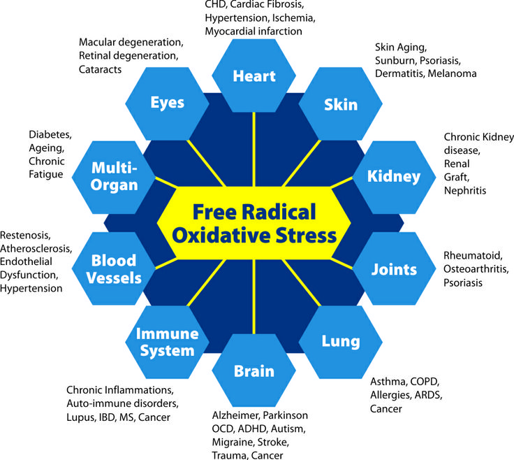 free-radicals.oxidative-damage.disease.degeneration