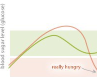 diet plan for weight loss - counting calories