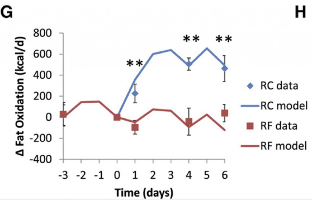 Hall et all - fat vs carb