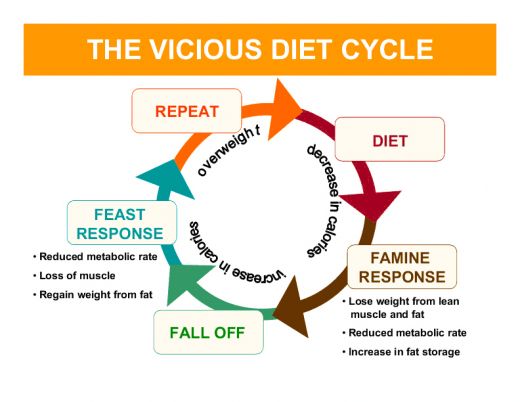 which cycle is best for fat loss