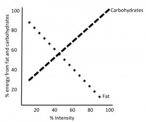 carbs.fat during exercise