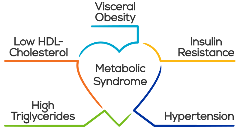 sleep-metabolic-syndrome-insulin-resistance-obesity-triglyceride-blood-pressure